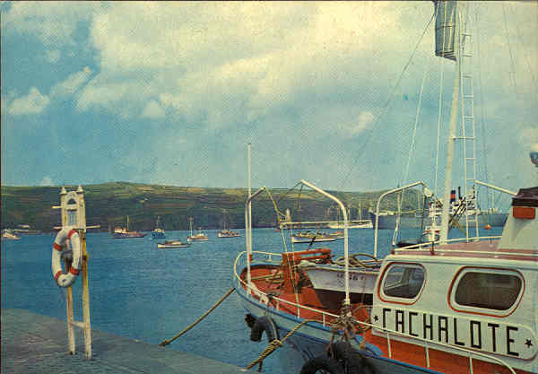 N� 10 - FAIAL A�ores Porto da Horta, vendo-se as embarca��es de ca�a � baleia e traineiras de pesca de albacora - Ed. Comiss�o Regional de Turismo Distrito da Horta-SD- Dim.15x10,5 cm - Col. M Boia.