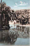 S/N - Portugal-Caldas da Rainha Lago do Parque Rainha D.Leonor - Editor Jos� da Silva Dias - Editado em 1926 - Dimens�es: 14x90 cm. - Col.Miguel Chaby