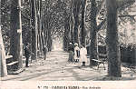N.� 770 - CALDAS DA RAINHA-Rua Andrade - Editor Alberto Malva (Editado em 1908) - Dimens�es: 14x9 cm. - Col. Miguel Chaby