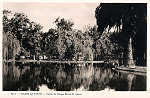 N.� 7 - CALDAS DA RAINHA-Trecho do parque Rainha D. Leonor - Editor Havaneza, Caldas da Rainha (Editado em 1952) - Dimens�es: 14x9 cm. - Col. Miguel Chaby.