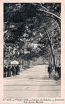 N.� 1257 - Portugal Caldas da Rainha Alameda das �guas Santas - Editor Alberto Malva (Editado em 1910) - Dimens�es: 9x14 cm. - Col. Miguel Chaby