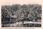 N.� 1275 - Portugal Caldas da Rainha Lago e ponte no Parque - Editor Alberto Malva (Editado em 1910) - Dimens�es: 9x14 cm. - Col. Miguel Chaby