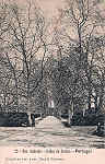 N.� 20 - Portugal Caldas da Rainha Rua Andrade - Editor Dias e Paramos (Editado em 1906) - Dimens�es: 9x14 cm. - Col. Miguel Chaby