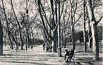N.� 55 - Portugal Caldas da Rainha Rua Central do Parque_Editor Dias e Paramos_Editado 1906_Dim 9x14 cm. - Col. M. Chaby