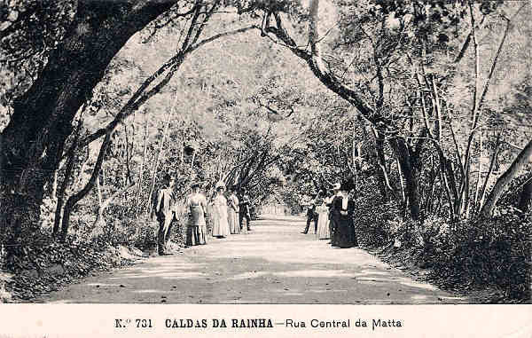 N.� 781 - CALDAS DA RAINHA-Rua Central da Matta - Editor Alberto Malva (Editado em 1908) - Dimens�es: 14x9 cm. - Col. Miguel Chaby