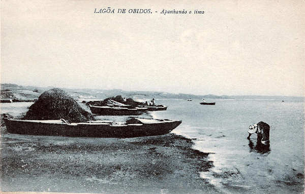 S/N - Portugal-Caldas da Rainha Lagoa de �bidos Apanhando o limo - Editor Jos� da Silva Dias (Editado em 1927) - Dimens�es: 14x9 cm. - Col. Miguel Chaby