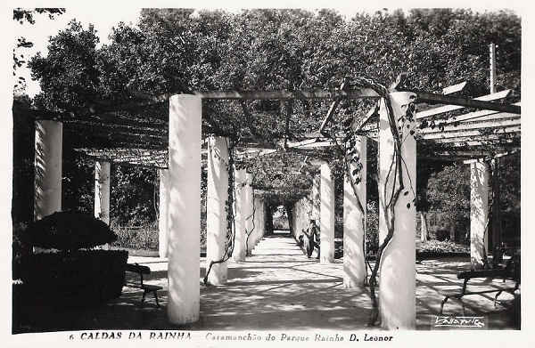 N.� 6 - Portugal Caldas da Rainha Carramach�o do Parque  Rainha D. Leonor - Editor Passaporte Loty (Editado em 1951) - Dimens�es: 9x14 cm. - Col. Miguel Chaby