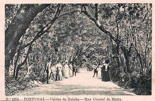 N.� 1264 - Portugal Caldas da Rainha Rua central da Matta - Editor Alberto Malva (Editado em 1910) - Dimens�es: 9x14 cm. - Col. Miguel Chaby