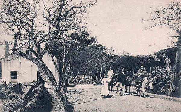 S/N - Portugal Caldas da Rainha Estrada da Foz do Arelho - Editor Jos� da Silva Dias (Editado em 1912) - Dimens�es: 9x14 cm. - Col. Miguel Chaby