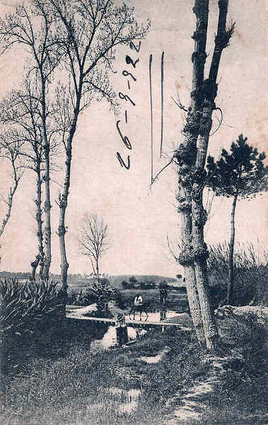 S/N - Portugal Caldas da Rainha Rio do Choupo - Editor Jos� da Silva Dias (Editado em 1912) - Dimens�es: 9x14 cm. - Col. Miguel Chaby