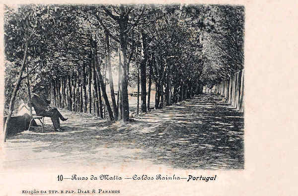N.� 10 - Portugal Caldas da Rainha Ruas da Matta - Editor Dias e Paramos (Editado em 1906) - Dimens�es: 9x14 cm. - Col. Miguel Chaby