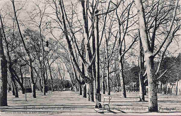 N.� 55 - Portugal Caldas da Rainha Rua Central do Parque_Editor Dias e Paramos_Editado 1906_Dim 9x14 cm. - Col. M. Chaby