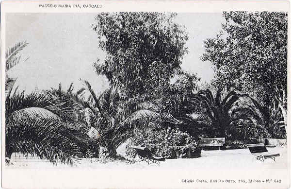 N� 642 - Passeio Maria Pia, Cascaes - Edi��o Costa, Rua do Ouro 295, Lisboa - Dim. 139x91 mm - Col. A. Monge da Silva (c. 1905)