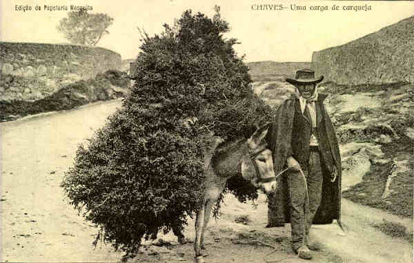 S/N - Chaves: Uma carga de carqueja - Edi��o da Papelaria Mesquita - S/D - Dimens�es: 13,7x8,7 cm. - Col. Aur�lio Dinis Marta. [Union Postale Universelle]