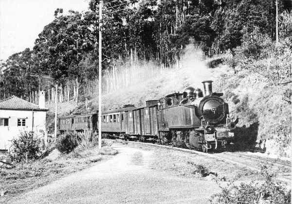 S/N - SERNADA DO VOUGA (Chegada - Espinho) 13-03-1975 - Editor: ??? - Dimens�es: 14,7x10,4 cm. - Col.  M�rio Silva