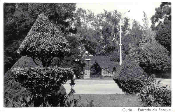 SN - Curia - Entrada do Parque - Ed. Mimosa (fotogr�fico) - Dim. 13,6x8,8cm - Circul. 6-1964 - Colec. A. Sim�es (339).