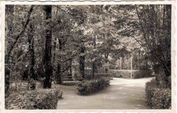 SN - CURIA - Portugal - Um trecho do Parque - Ed. Junta Turismo Curia - SD - Dim. 13,9x9,0 cm - Col. A. Sim�es (197).