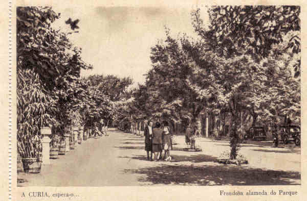 SN - A CURIA espera-o.Frondosa alameda do Parque - (caderneta) Ed. Grande Bazar Arte Regional EFN  - Dim 14,3x9,8 cm. - Col. A. Sim�es (413).
