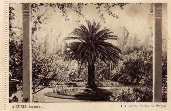 SN - A CURIA espera-o. Um recanto florido do Parque - (caderneta) - Ed. Grande Bazar Arte Regional EFN  - Dim 14,3x9,7 cm. - Col. A. Sim�es (417).