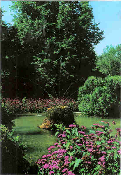 N� 3 - CURIA - Portugal - Jardins do Parque - Ed. da Junta de Turismo da Curia - 14,9,x10,4 cm. - Col. A. Sim�es 1105