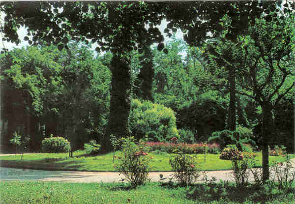 N� 5 - CURIA - Portugal - Jardins do Parque - Ed. da Junta de Turismo da Curia - 14,9,x10,4 cm. - Col. A Sim�es 1097.