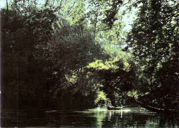 N� 6 - CURIA - Portugal - Recanto do lago - Ed. Junta de Turismo da Curia - 14,7x10,4 cm. - Circ. 8/1970 - Col. A. Sim�es 1007.