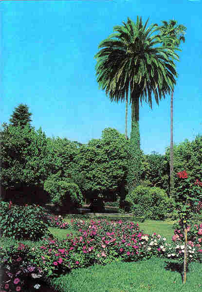 N� 14 - CURIA - Portugal - Jardins do Parque - Ed. Junta de Turismo da Curia - 14,9,x10,4 cm. - Col. A. Sim�es 1039.