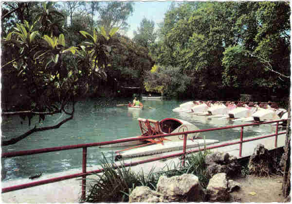 N� 396-P. - CURIA - Um recanto do lago - Ed. Portugal Tur�stico - 14,8x10,3 cm. - Col. A. Sim�es 1024.