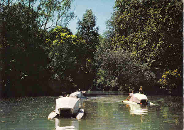 N� 17 - CURIA - Portugal Trecho do Lago - Ed. Junta de Turismo da Curia - Dim. 14,7x10,5 cm - Col. A. Sim�es (236).  CURIOSIDADE: No postal n� 17, na gaivota do lado direito, estou eu sentado na condu��o e, em p�, um primo meu.