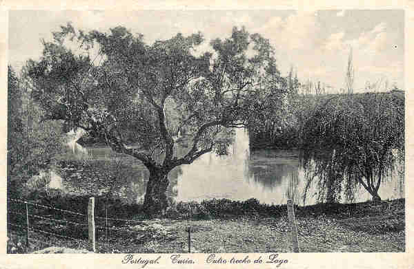 SN - Portugal. Curia. Outro trecho do Lago - Edicao do Bazar Soares - Porto - ( Foto Soares Leitao - Curia ) - Dim. 13,8x9,0 cm - Circul. 1928 - Col. A. Sim�es (159).