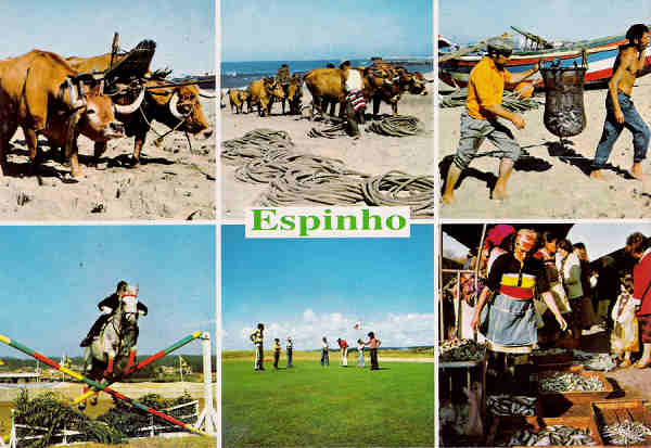 SN - Portugal. Espinho - Motivos tur�sticos diversos 2 - Editor J.A.fernandes da Silva, Paramos (Espinho) - Dim. 15x10 cm - Col. Miguel Chaby.