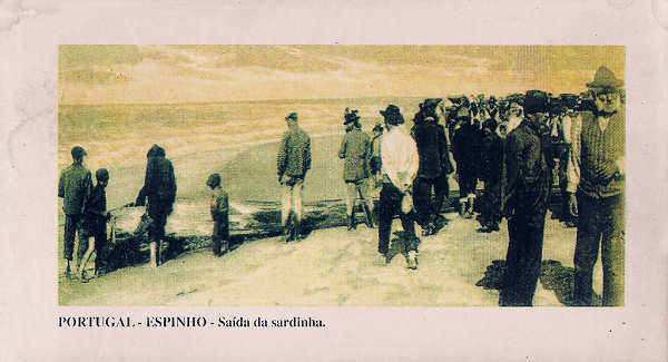 SN - Portugal. Espinho - Sa�da da sardinha - Editor Violeta Primorosa-Espinho - Dim. 7,7x14 cm - Col. Miguel Chaby