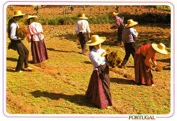 N.� 13 - Portugal - Prepara��o do linho. "Entarroar as belgas" para a primeira rega - Edi��o �ncora, tel. 3952192 (S/D) - Dimens�es: 14,9x10,4 cm. - Col. F�tima B�ia (1995).