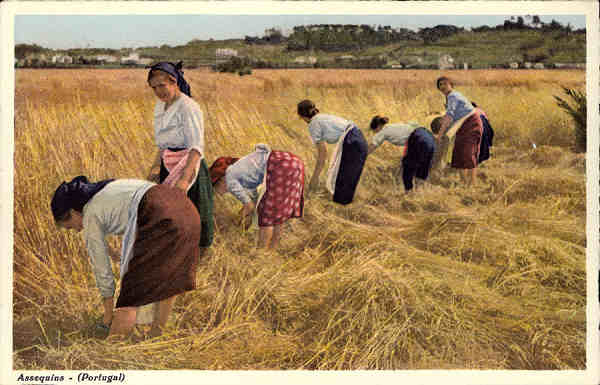 N.� 138 - Assequins, Portugal - Edi��o de C. Conseil de Vasconcelos - Tabacaria Africa, Porto - SD - Dim. 14x9 cm. - Col. �nio Semedo.