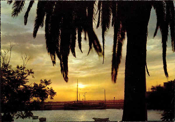 N.� 755/147 - ALGARVE-FARO Poente - Edi��o Portugal Tur�stico - S/D - Dimens�es: 14,5x10,2 cm. - Col. Gra�a Maia