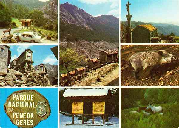 N.� 340 - (PORTUGAL) Parque Nacional da Peneda Ger�s. Alguns aspectos do Parque e da sua fauna - Edi��es LUSOCOLOR, Arcos de Valdevez - S/D - Dimens�es: 14,5x10,4 cm. - Col. HJCO