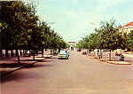 N.� 138 - Avenida da Rep�blica - BISSAU - Ed. Foto Serra - Dimens�es: 14x9 cm - Col. Ant�nio Bodas (1966)