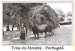N.� 40529 - Tr�s-os-Montes - Portugal - Usos e Costumes Regionais - Nunes de Almeida.Editores, AP 83 2711- 999 Sintra postaisdeportugal@portugalmail.pt Arquivo: Foto Fernandes*Macedo de Cavaleiros Fotografia:Cortesia da Junta de Freguesia de Morais-Macedo de Cavaleiros - SD - Dim. 15x10,5 cm - Col. F�tima B�ia (2011)