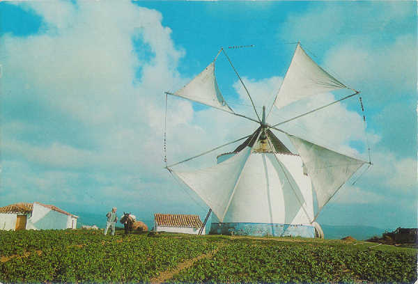 N� 86 - Moinho t�pico - Ed. C.S. - SD - Circulado em 1987 - Dim. 14,7x10 cm - Col. M. Soares Lopes.