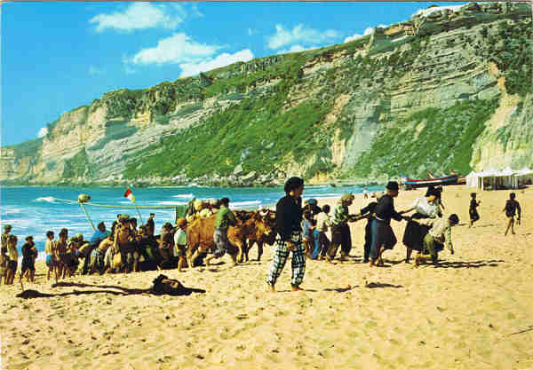 N.� 58 - NAZAR� (Portugal) Arrasto dos barcos -  Ed.D�LIA - SD - Dim. 15,2x10,5 cm - Col. F�tima B�ia (1978).