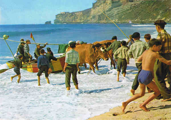 N.� 94 - NAZAR� (Portugal) Arrasto dos barcos - Ed. D�LIA - SD - Dim. 15,1x10,5 cm - Col. F�tima B�ia (1978).