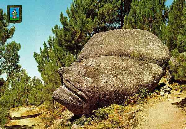 N.� 226 - SERRA DA ESTRELA. Cabe�a da Velha - Edi��o LIFER, Porto (Ediciones Barcelona) -  S/D - Dimens�es: 15x10,4 cm. - Col. HJCO (1966).