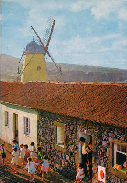 N� 20 - S�O MIGUEL. Moinho de Vento - Edi��o Fotografia N�brega - SD - Dim. 15x10,3 cm - Col. A. Monge da Silva (cerca de 1966)