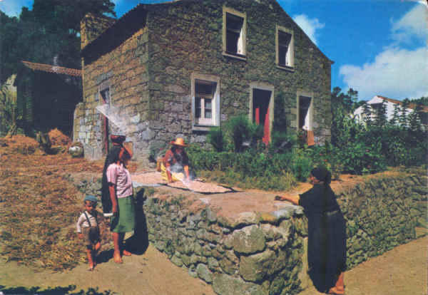 SN - S�O MIGUEL. Sete Cidades. Cena t�pica - Edi��o Comer, Lisboa - Dim. 14,9x10,5 cm - Col. A. Monge da Silva (cerca de 1970)