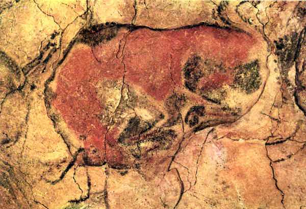 N� 1160 - Cuevas de Altamira. Bisonte - Foto J. Adolfo,Torrelavega - Dim. 15,1x10,6 cm - Col. Am�lcar Monge da Silva