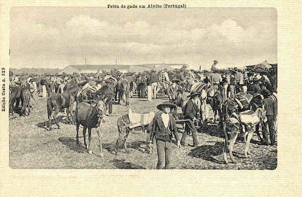 N.� 529 - Feira de Gado em Alvito - Ed. Costa - S/D- Dimens�es: 14x9 cm. - Col. an�nimo.