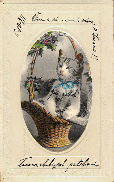 SN - Postal com moldura em relevo - Edi��o alem� an�nima - Circulado em 1911 - Dim. 14,1x8,8 cm - Col. Am�lcar Monge da Silva