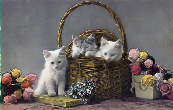 N� 5013 - Edi��o Inter Art C�, Londres - Circulado em 1917 - Dim. 13,8x8,8 cm - Col. Am�lcar Monge da Silva