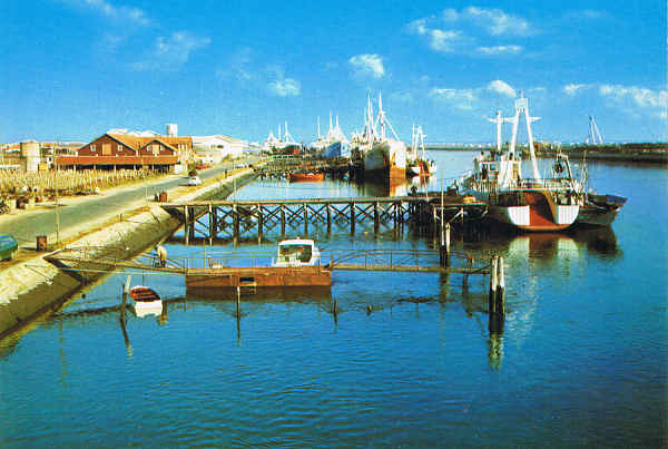 N� 331 - AVEIRO (Beira Litoral) - Aspecto do cais - COLECCION  PERLA - SD - Dim. 14,3x10,5 cm. - Col. Manuel B�ia.