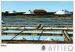 N.� 19 - AVEIRO Salinas - Ed. Artes Gr�ficas - SD - Dim. 15x10,5cm - Col. M�rio Silva.